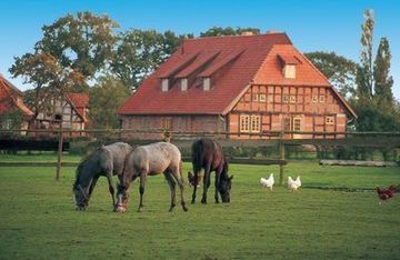 Ferme avec chevaux