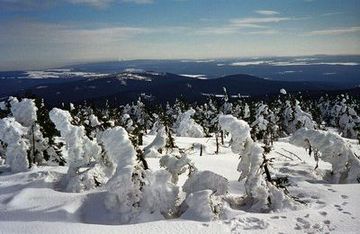 Panorama d`hiver du Wurmberg (971 m)